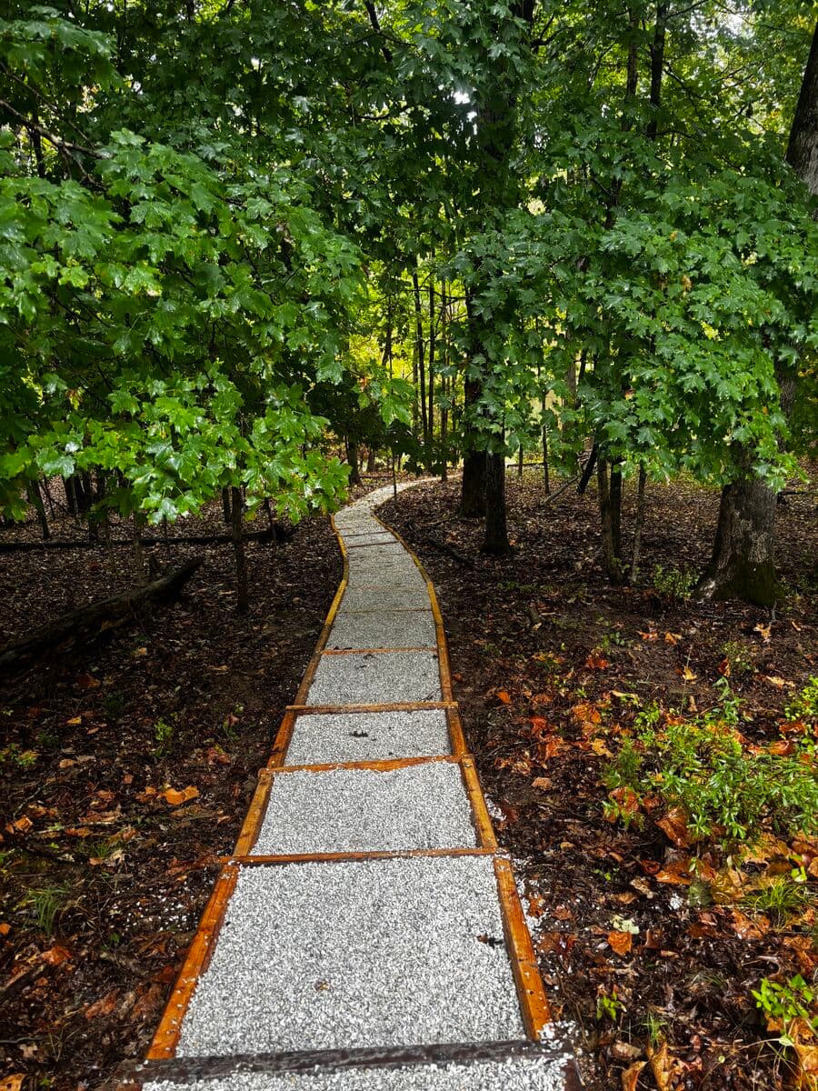 Landscape Design